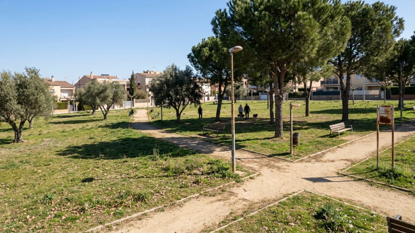 A budget of 349,535 euros will convert a cut-off axis into the new promenade connecting the Alpicat park